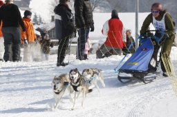 Lenk 2012 SM